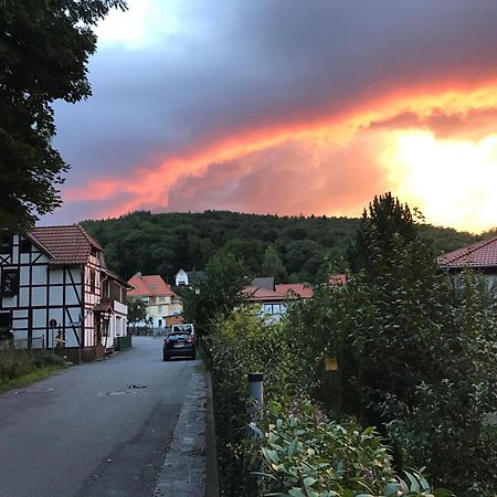 Ferienwohnung-Willgeroth Ilsenburg Kültér fotó