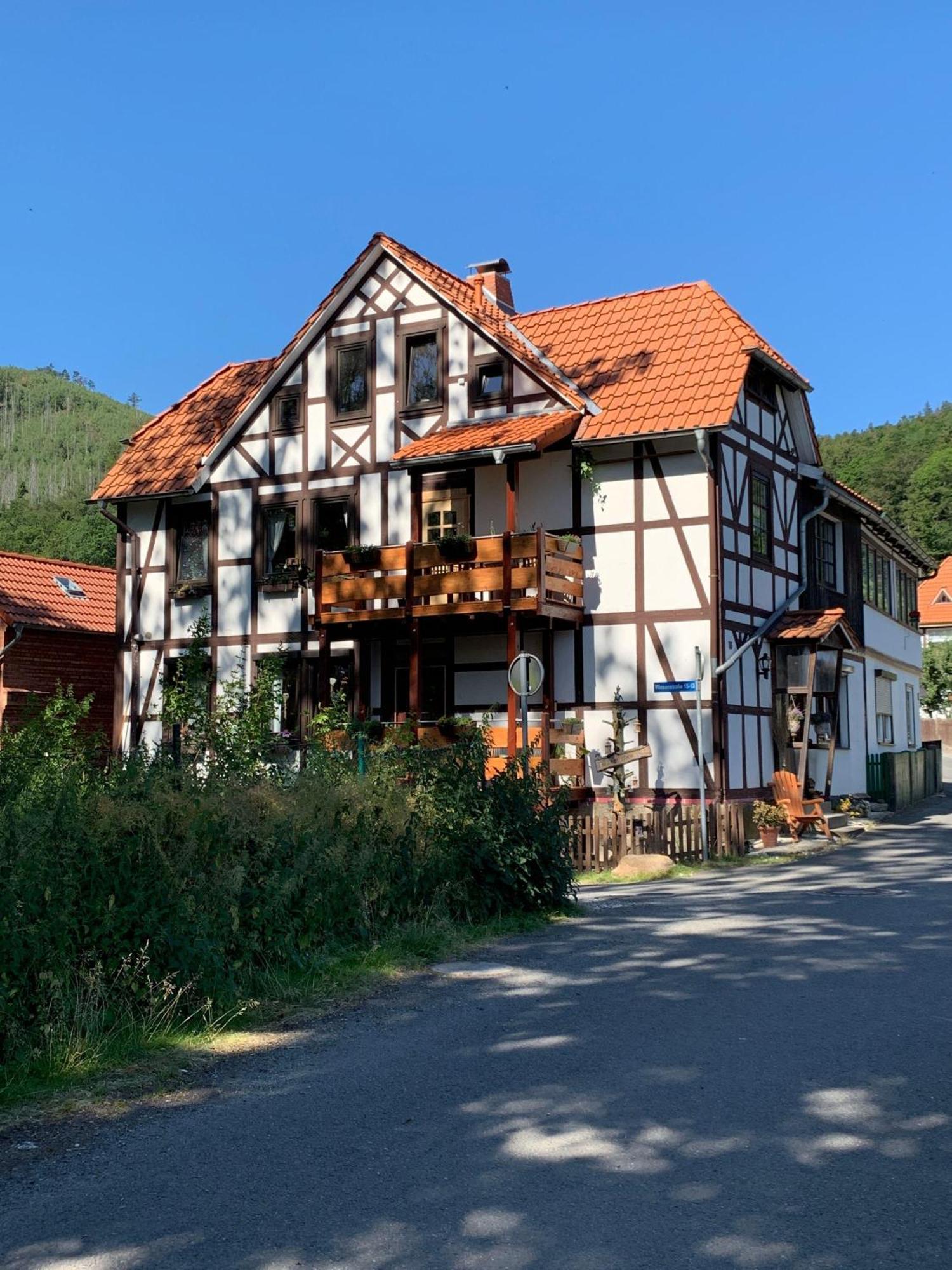 Ferienwohnung-Willgeroth Ilsenburg Kültér fotó